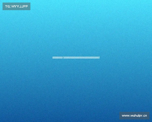 北斗户外赛事管理(北斗卫星定位技术驱动户外赛事智能化管理与风险防控平台构建)